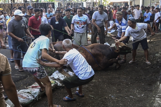 Pemotongan Hewan Kurban di Kebayoran Lama Jadi Tontonan