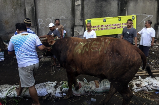 Pemotongan Hewan Kurban di Kebayoran Lama Jadi Tontonan