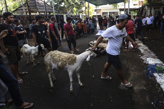 Pemotongan Hewan Kurban di Kebayoran Lama Jadi Tontonan