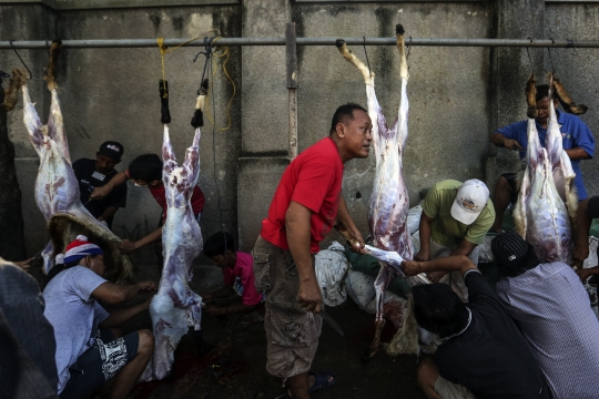 Pemotongan Hewan Kurban di Kebayoran Lama Jadi Tontonan