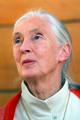 Profil Jane Goodall | Merdeka.com