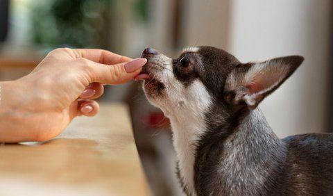 <b>3. Reduce Treats</b>