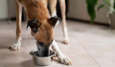 <b>8. Make a Comfortable Eating Environment</b>
