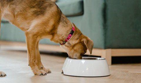 <b>7. Warm the Food</b>