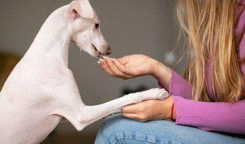 <b>9. Try Hand Feeding</b>