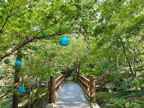 8 Underrated Honeymoon Destinations In The United States