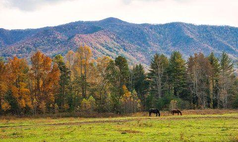 8 Underrated Honeymoon Destinations In The United States