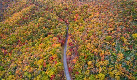 <b>8. Asheville, North Carolina</b>