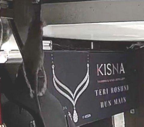Jewelry Store Caught Rat Trying To Steal Expensive Diamond Necklace