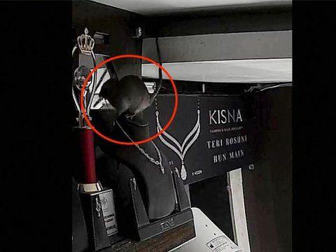 Jewelry Store Caught Rat Trying To Steal Expensive Diamond Necklace