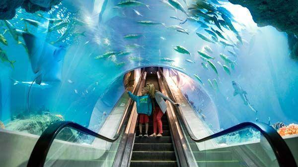 5 Fun Places To Go In Phoenix, Arizona, With Friends for an Unexceptional Time