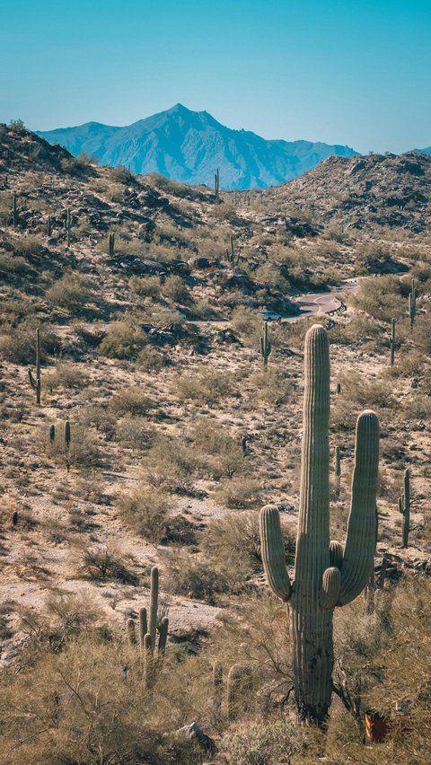 5 Fun Places To Go In Phoenix, Arizona, With Friends for an Unexceptional Time