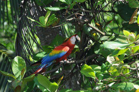 Top 7 Most Beautiful Places in Costa Rica to Visit on Your Next Trip