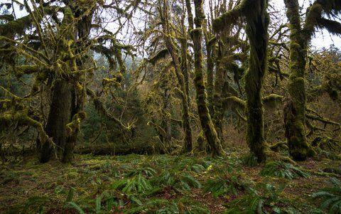 Top 8 Most Beautiful Places in Washington State to Visit on Your Next Journey