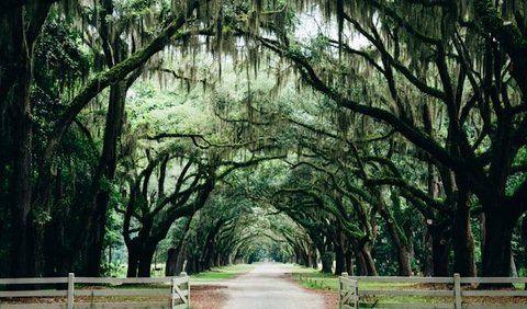 <b>8. Savannah, Georgia</b>