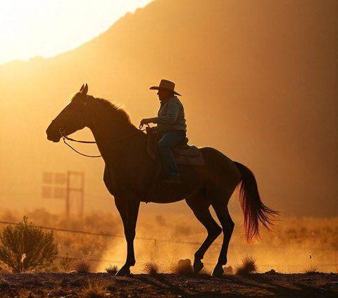 20. How did the cowboy know his cattle were behind him without looking? He herd them.