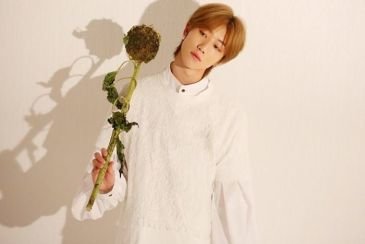 Ditembak The8 SEVENTEEN, Bakal Kamu Tolak Atau Terima?