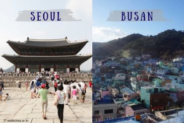 Menjemput Impian 2019, Kota Mana yang Cocok Buat Tempat Tinggalmu di Korea?