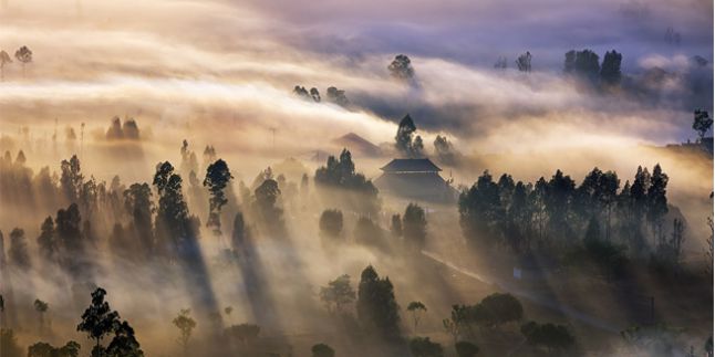 Pesona Sunrise Keemasan Nan Cantik di Desa Pinggan Kintamani
