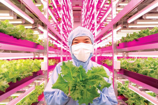 Negara Ini Bangun Industri Pertanian Vertikal Terbesar Di Dunia Techno Id