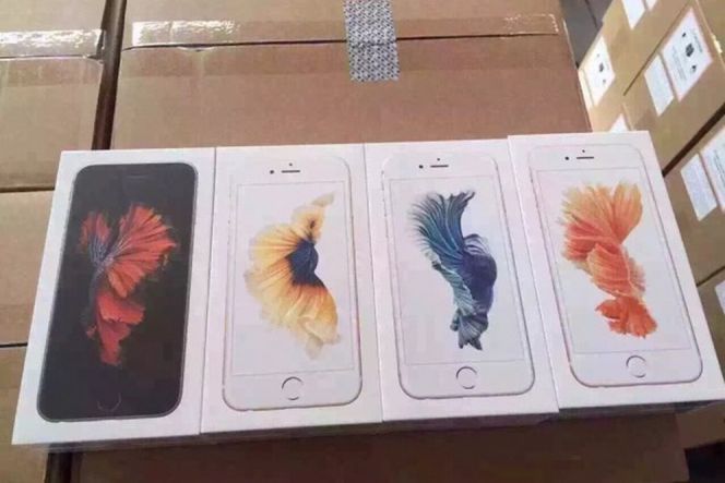 Packaging iPhone 6s bergambar ikan cupang bocor duluan di internet