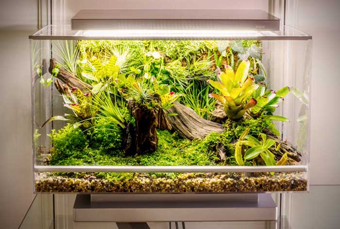 Biopod Ekosistem Mini Dalam Genggaman Tangan Anda Techno Id