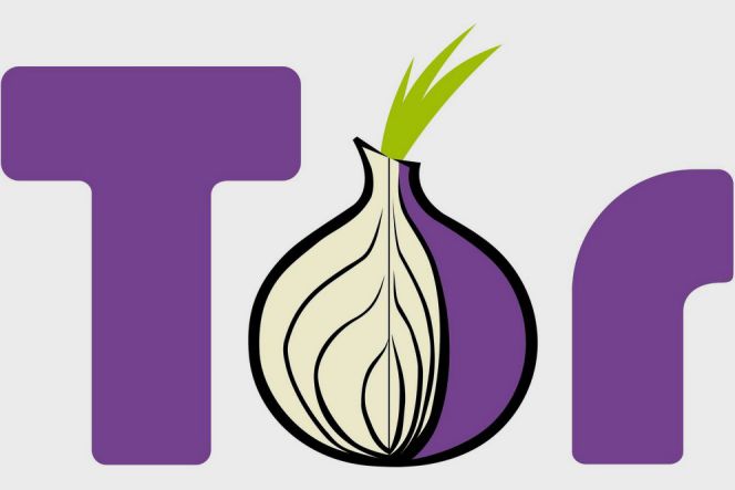 TOR Browser, pintu masuk untuk akses DeepWeb