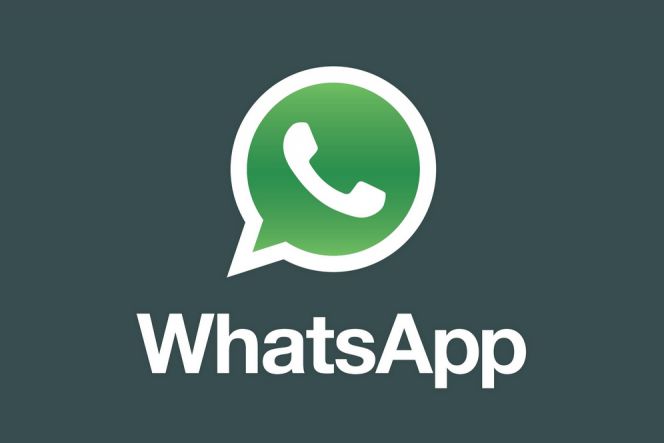 Trik melihat pembaca pesan grup WhatsApp Anda