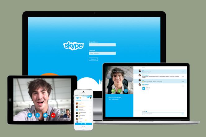 Data Detector pada Skype, apa fungsinya?