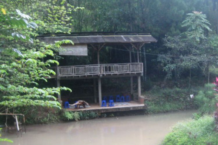 46+ Gambar Rumah Bambu Kampung Pictures