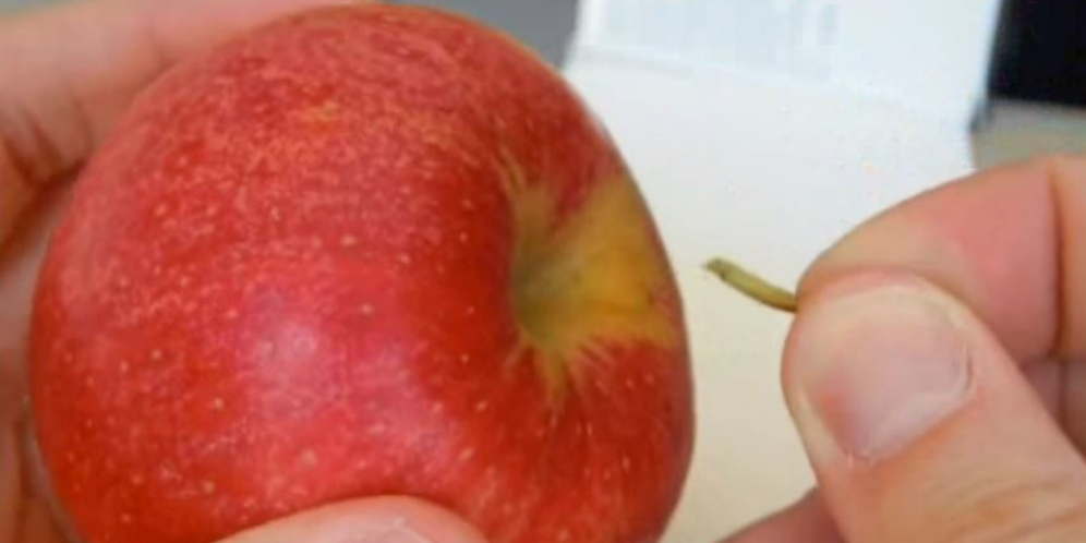 VIDEO Trik Membelah Apel dengan Tangan Kosong, Berani