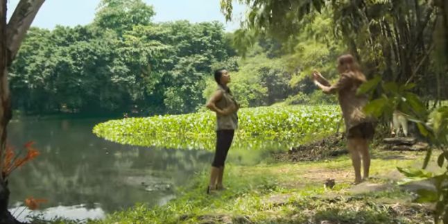 Image De Plage: Orang Lagi Selfie Dimakan Buaya