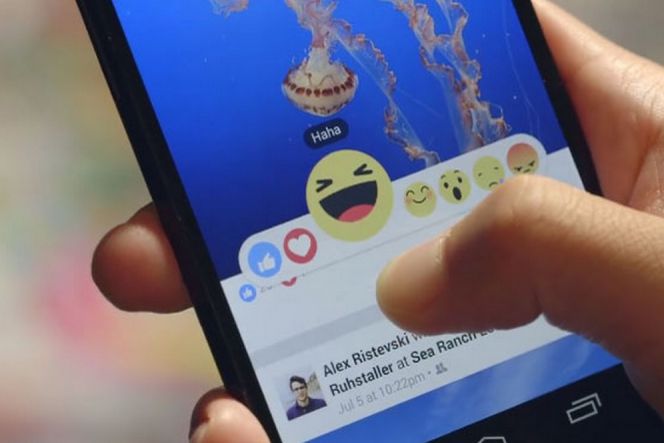 Ini hal yang perlu diperhatikan sebelum gunakan tombol Reaction