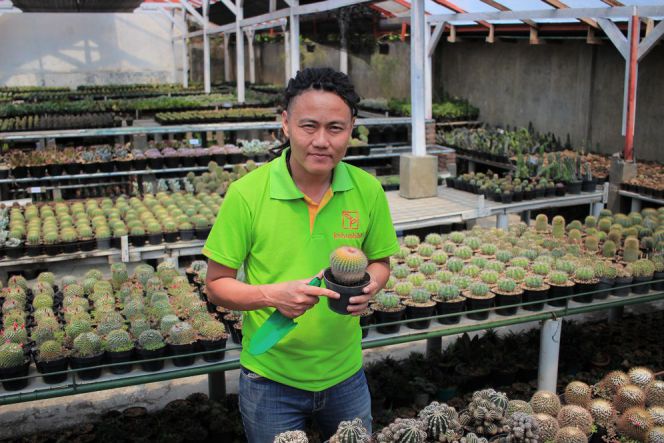 Raup revenue Rp500 juta/bulan, CEO KebunBibit: Kita jualannya 'ngawur'