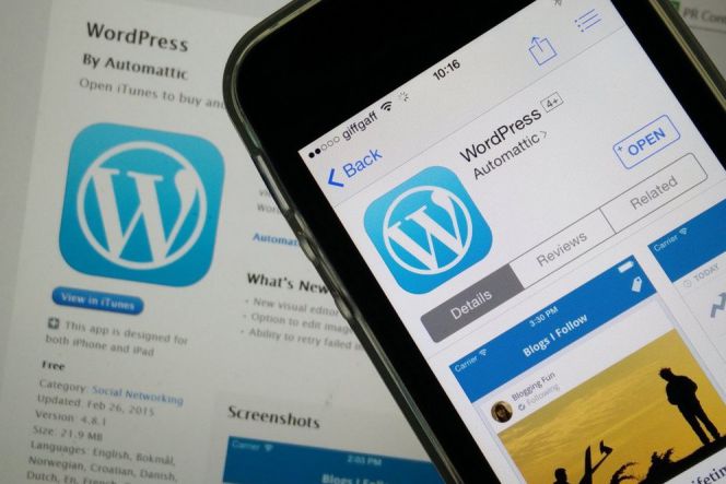 Facebook umumkan Instant Article juga dukung WordPress