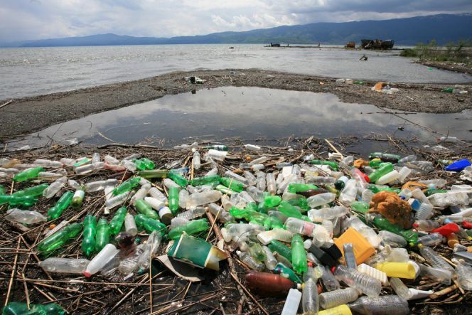 Ilmuwan Jepang temukan bakteri baru pemakan sampah plastik