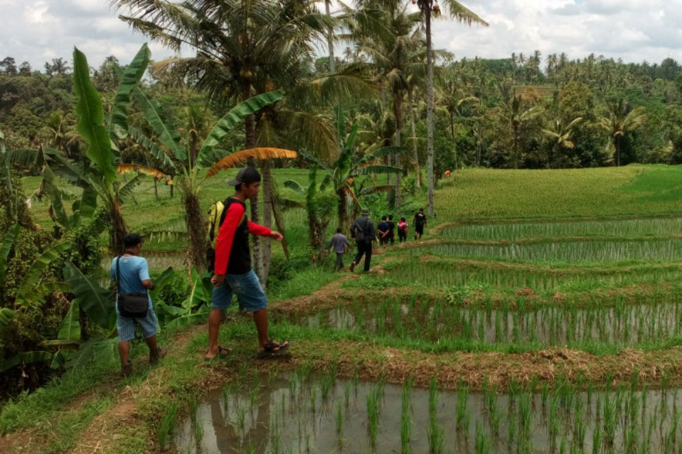 Eksplorasi Wisata Pedesaan di Indonesia yang Menenangkan