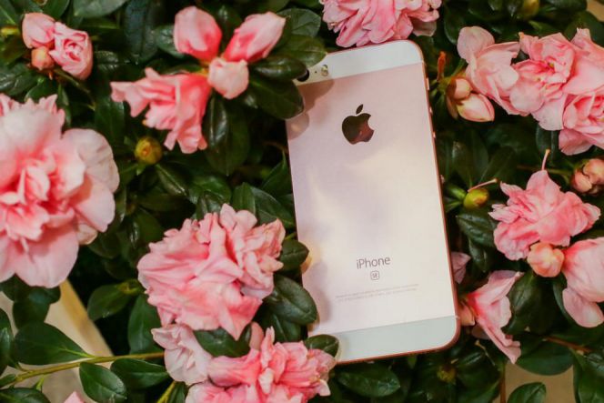 iPhone SE kurang diminati di negara asalnya sendiri