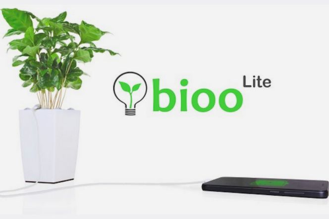 Bioo Lite, pot tanaman yang bisa isi daya baterai smartphone Anda