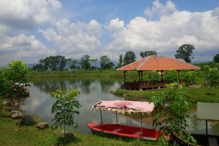 Banyuwangi Merdeka Com Ini Keindahan Waduk Sidodadi