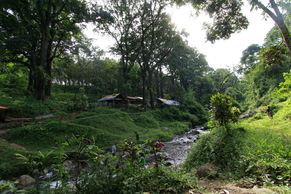 Banyuwangi - Merdeka.com | Sejuknya agrowisata Kalibendo Banyuwangi