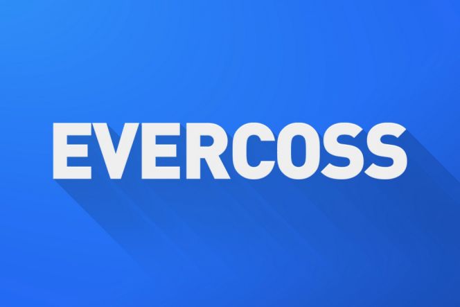 Ini spesifikasi 2 smartphone baru Evercoss, Winner Y2 dan Y2+ Power