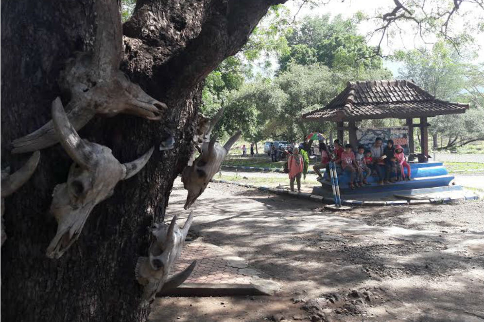 Banyuwangi Merdekacom Wisatawan Padati Taman Nasional