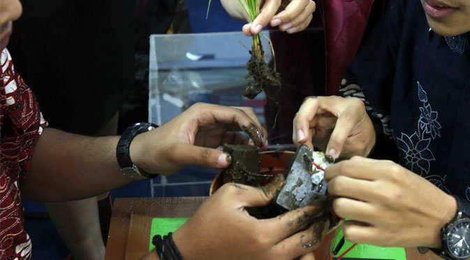 Padi Hasilkan Listrik merdeka.com