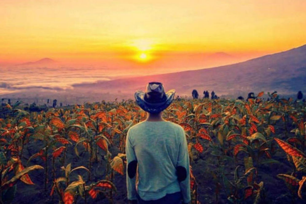 Mudik ke Temanggung? Ada 4 Gunung Berapi yang Keren 