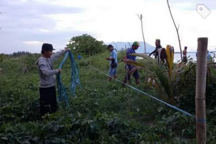 Banyuwangi - Merdeka.com  Aksi tandur 10.000 cemara laut 