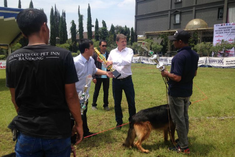Bandung Merdeka Com 68 Anjing Gembala Jerman Berkompetisi Di