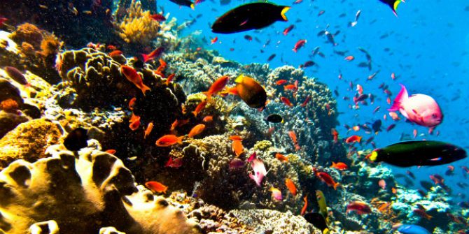 11 Destinasi Wisata Bahari Hadir Di Deep Extreme Indonesia 11 Destinasi Wisata Bahari Hadir Di Deep Extreme Indonesia