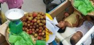 Jualan Sambil Bawa Anak, Kisah Pedagang Rambutan Sepi Pembeli Ini  Menyayat Hati