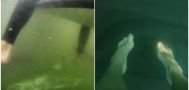 Buktikan Kamu Tak Mengidap Thalassophobia dengan Melihat 10 Foto Laut ini!